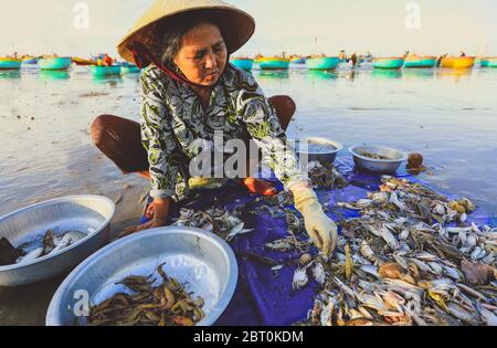 MUI ne Vietnam 22 gennaio 2019 : il venditore locale sta raccogliendo pesci e scelle nel famoso villaggio di pescatori di Mui ne, Vietnam Foto Stock