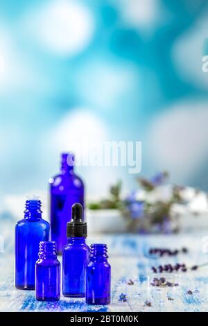 Selezione di oli essenziali di bottiglie e di erbe e fiori, timo e borragine su sfondo blu. Foto Stock