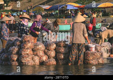 MUI ne Vietnam 22 gennaio 2019 : il venditore vietnamita compra un sacco di Scallops forma pescatori al villaggio di pescatori a Mui ne, Vietnam Foto Stock