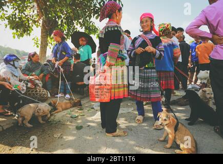 Bac ha, Vietnam - 7 luglio 2019 : donne Hmong che vendono cani nel mercato di Bac ha, Vietnam del Nord. Bac ha è mercato delle tribù delle colline dove la gente viene a commerciare fo Foto Stock