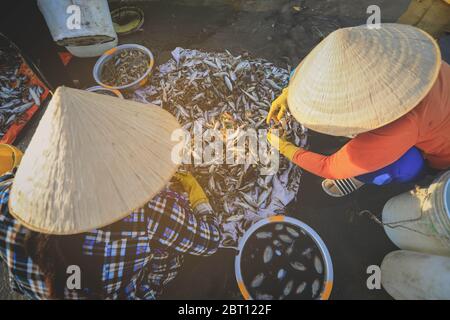 Il venditore locale sta raccogliendo pesci e gamberi nel villaggio di pescatori di Mui ne, Vietnam Foto Stock