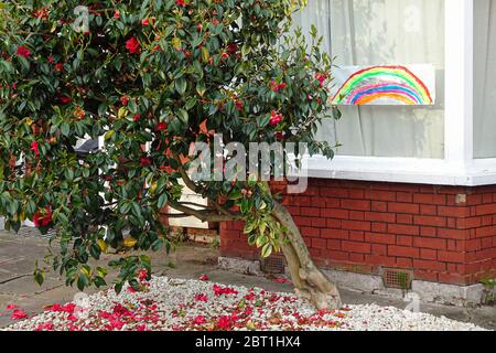 Londra, Regno Unito - 04 maggio 2020: Arcobaleno dipinto a mano visualizzato sulla finestra di casa a Lewisham come ringraziamento segno per i lavoratori essenziali e NHS du Foto Stock