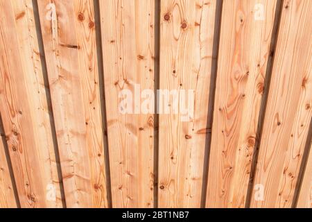 Pannelli in legno di pino Foto Stock