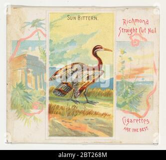 Sun Bittern, dalla serie Birds of the Tropics (N38) per Allen &amp; Ginter Cigarettes, 1889. Foto Stock