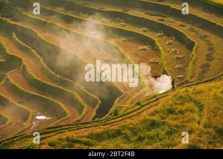 Contadino che cammina accanto a un falò in terrazze di riso a più livelli, Mu Cang Chai, Vietnam Foto Stock