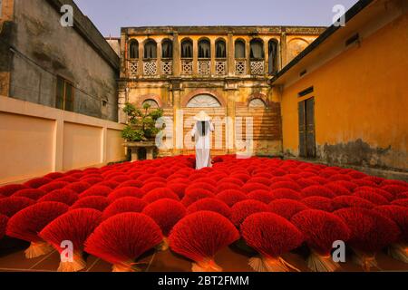 Donna in piedi tra bastoni di incenso essiccati, Hanoi, Vietnam Foto Stock