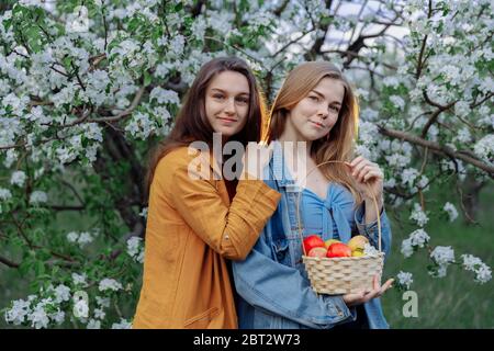 Due belle ragazze giovani stanno in piedi in un frutteto di mele. Foto Stock