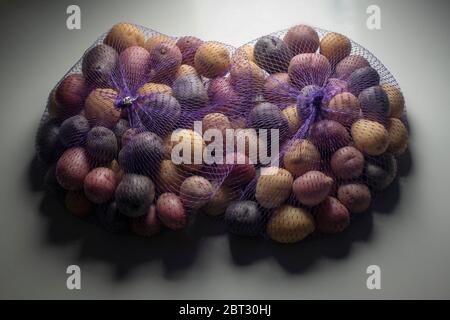 Patate creme tricolore in sacchetto a maglia Foto Stock