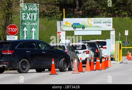 Toronto, Canada. 22 maggio 2020. I veicoli si allineano per entrare nello zoo di Toronto durante un evento mediatico che si terrà a Toronto, Canada, il 22 maggio 2020. A partire da sabato, lo zoo di Toronto riaprirà ufficialmente al pubblico con l'esperienza drive-through chiamata lo Scenic Safari. Il percorso di guida prenotato in anticipo consentirebbe ai visitatori di vedere gli animali dai loro veicoli attraverso un percorso di 3.4 km durante l'epidemia di COVID-19. Credit: Zou Zheng/Xinhua/Alamy Live News Foto Stock