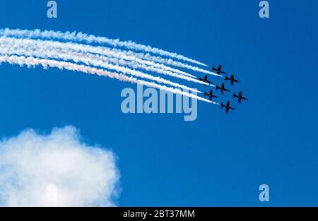 Il Breitling Jet Team si esibisce al Seafair Air Show 2015 di Seattle. Il team è il più grande team di esposizione aerobica civile in Europa. Con sede a Digione, in Francia, vola sette jet cechi Aero L-39 Albatros. La squadra vola un'esposizione della durata di 18–20 minuti che include formazione in volo, passaggi di opposizione, routine solistiche e manovre sincronizzate. Volarono negli Stati Uniti per la prima volta nel 2015. Questi piani rappresentano un eccellente compromesso tra prestazioni, estetica, affidabilità e costi di esercizio. Sono stati ampiamente utilizzati in tutti i paesi dell'ex blocco sovietico. Foto Stock