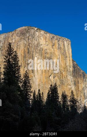 Il monolito di El Capitan fotografò la luce del tardo pomeriggio d'autunno da un'ansa del fiume Merced nella Yosemite Valley, Parco Nazionale di Yosemite, California Foto Stock