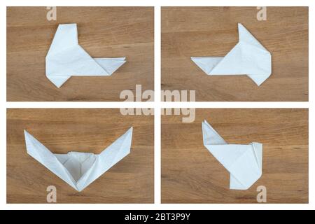 Fasi di piegatura di una maschera facciale di carta da un asciugamano di carta. Parte 4/5. Foto Stock