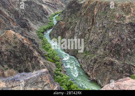 Canyon del fiume Charyn in primavera Foto Stock