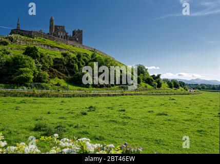 La Rocca di Cashel noto anche come Cashel dei Re e San Patrizio Rock, è un sito storico situato a Cashel, nella contea di Tipperary, Irlanda. Foto Stock