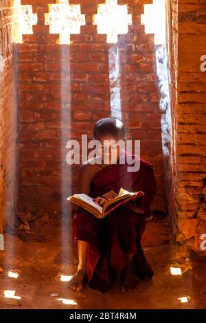 Un monaco buddista novizio che legge un libro ad UN tempio a Bagan, regione di Mandalay, Myanmar. Foto Stock