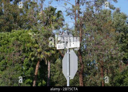 Beverly Hills, California, USA 22 Maggio 2020 UNA visione generale dell'atmosfera dell'ex casa di Buddy Hackett su 800 Whittier Drive il 22 Maggio 2020 a Beverly Hills, California, USA. Foto di Barry King/Alamy Stock foto Foto Stock