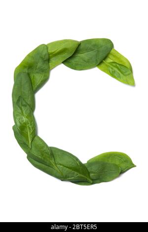 Lettera C dell'alfabeto inglese, a partire da foglie di spinaci verdi fresche su sfondo bianco isolato, con naturale motivo bonatico a base di foglie. B Foto Stock