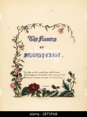 Pagina titolo con titolo calligrafico fiori di Shakspeare e vignette di rose, caprifoglio e cardi. Botanico Handcoioured Illustrazione disegnata e litografato da Jane Elizabeth Giraud dai fiori di Shakespeare, giorno e Haghe, Londra, 1845. Foto Stock