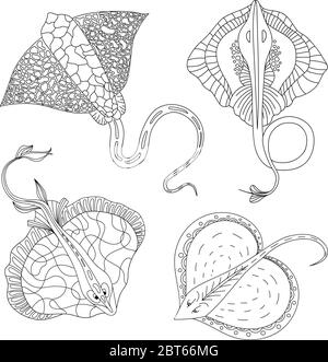 Colorazione. Libro da colorare. Libro da colorare con una foto di un manto stingray in stile zentangle. Disegno di schizzo a mano libera anti-sollecitazione. Illustrazione vettoriale Illustrazione Vettoriale