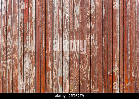 Fienile grigio parete in legno plancare ampia texture. Vecchio legno massiccio doghe sfondo rustico. Superficie quadrata di legno duro scuro resistente agli agenti atmosferici. Grugnoso sbiadito Foto Stock