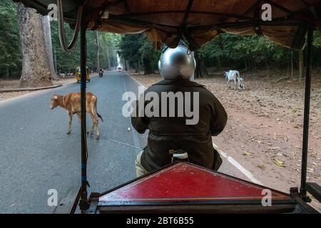 Un rickshaw motociclistico in Cambogia Foto Stock