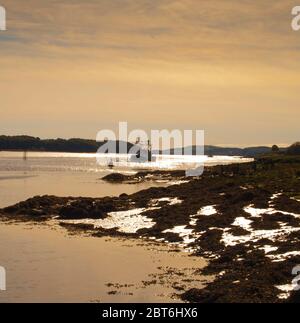 La barca da pesca con draga di capesante ritorna al porto pesantemente carico, Kirkcudbright, estuario del Dee Foto Stock