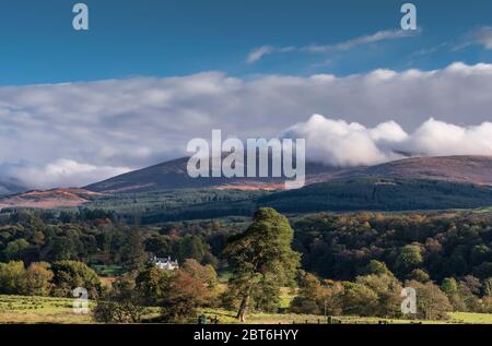 Cairnsmore di vista flotta da Kirroughtree Forest di Stronord Foto Stock