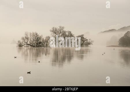 Carlingwark Loch in mattina nebbia, Castello Douglas Foto Stock