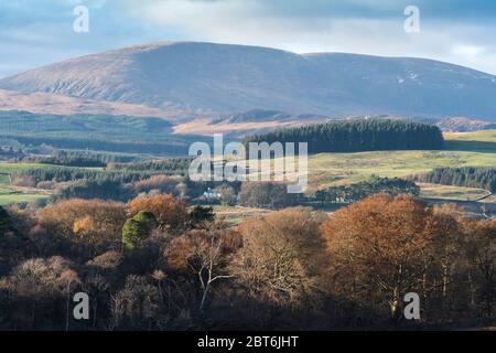 Cairnsmore di flotta da Carstramon Wood, Gatehouse della flotta strada posteriore Foto Stock