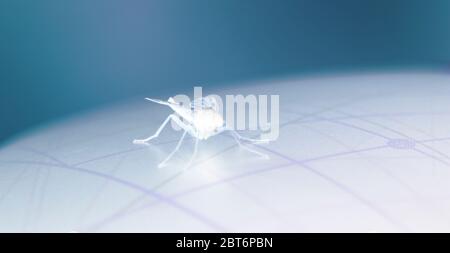 primo piano astratto di un mosca, simile a un radiografia Foto Stock