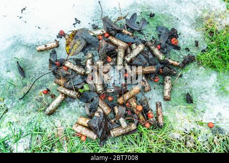 Scarico molto arrugginito perdite batterie alcaline gettate in modo errato via a ghiaccio di fusione, non riciclate, stanno avvelenando l'ambiente, gettato in natura Foto Stock