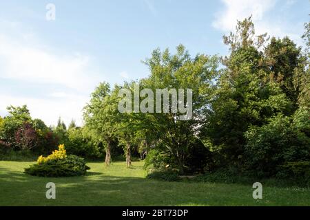 Giardino Botanico Foto Stock