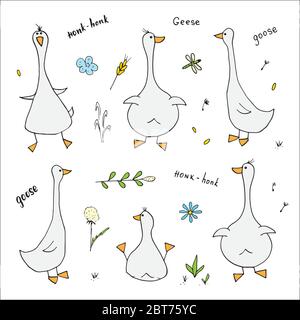 Set di doodles d'oca. Cute disegno di oche. Illustrazione vettoriale Cartoon disegnata a mano su sfondo bianco . Illustrazione Vettoriale