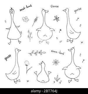 Set di doodles d'oca. Cute disegno di oche. Illustrazione vettoriale Cartoon disegnata a mano su sfondo bianco . Illustrazione Vettoriale