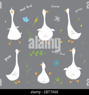 Set di doodles d'oca. Cute disegno di oche. Illustrazione del vettore Cartoon disegnata a mano . Illustrazione Vettoriale