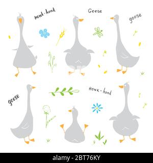 Set di doodles d'oca. Cute disegno di oche. Illustrazione vettoriale Cartoon disegnata a mano su sfondo bianco . Illustrazione Vettoriale