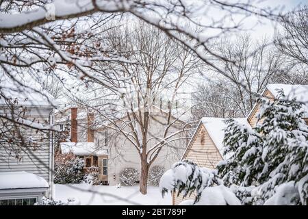 Cortile in quartiere con alberi coperti di neve dopo una tempesta bianca bizzard in sobborghi nord della Virginia con vista astratta di singole case di famiglia hou Foto Stock
