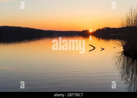 Bella natura e paesaggio foto della Svezia. Bella, calma, immagine pacifica del tramonto di primavera in Scandinavia all'aperto con lago. Foto Stock