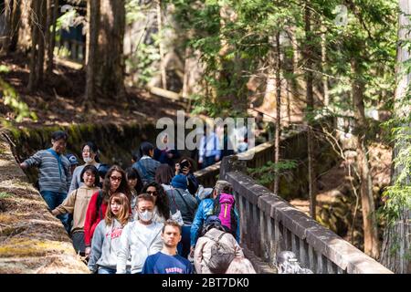 Nikko, Giappone - 5 aprile 2019: Persone che camminano su sentiero in pietra ripida attraverso la foresta su scale giù a Tochigi che conduce al tempio Toshogu Oku Foto Stock