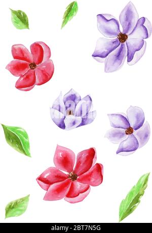Vettore di set di fiori e foglie disegno tradizionale e pittura con acquerello su sfondo bianco Illustrazione Vettoriale