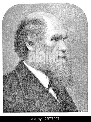 Ritratto di Charles Darwin (1809 - 1882), inglese, naturalista, geologo, biologo, famoso per la sua teoria scientifica della scienza dell'evoluzione Foto Stock