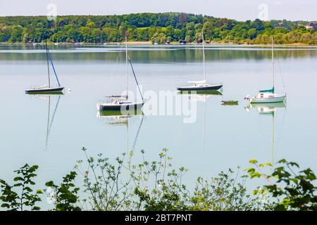 Paesaggio idilillico con quattro barche a vela. Foglie di cespugli in primo piano. Catturato al Lago Ammer (Ammersee). Popolare destinazione turistica. Foto Stock