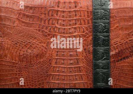 La striscia nera giace sulla pelle marrone di coccodrillo. Vista dall'alto. Spazio di copia Foto Stock