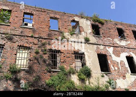Vecchio adandoned rovina costruzione muro di mattoni con alberi cresciuti sul muro di pietra Foto Stock