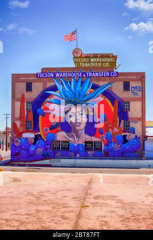 Famoso murale gigante sul lato dell'edificio Tucson Warehouse & Transfer Co nel quartiere artistico di Tucson, Arizona Foto Stock