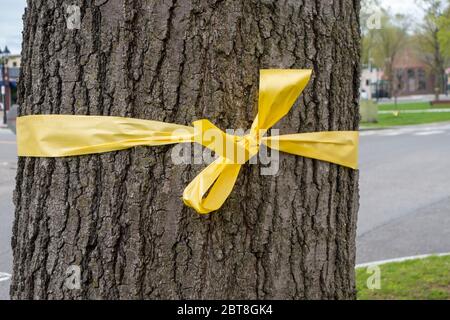 I nastri gialli intorno ad un camion dell'albero devono sostenere le nostre truppe Foto Stock