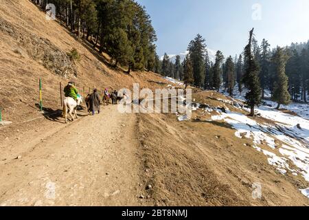Gruppo di turisti trekking a cavallo alla popolare stazione collinare di Pahalgam in Kashmir Foto Stock