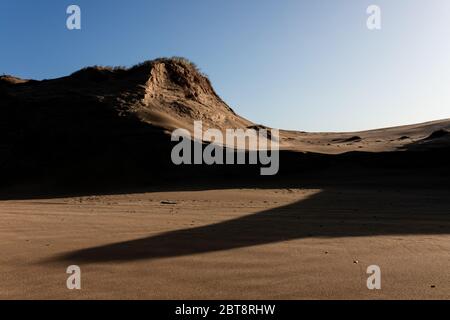 Ombre scagliate dalle dune di sabbia su 90 miglia di spiaggia, nuova Zelanda Foto Stock