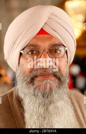 Ritratto di un uomo Sikh, Ritratto di un uomo Sikh indiano in turbante con bushy, Nuova Delhi, India. Asia (Foto Copyright © Saji Maramon) Foto Stock