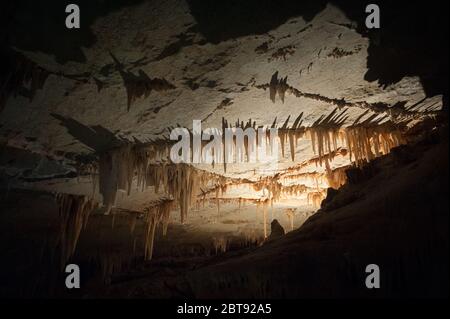 dall'interno della grotta di jenolan, australia Foto Stock